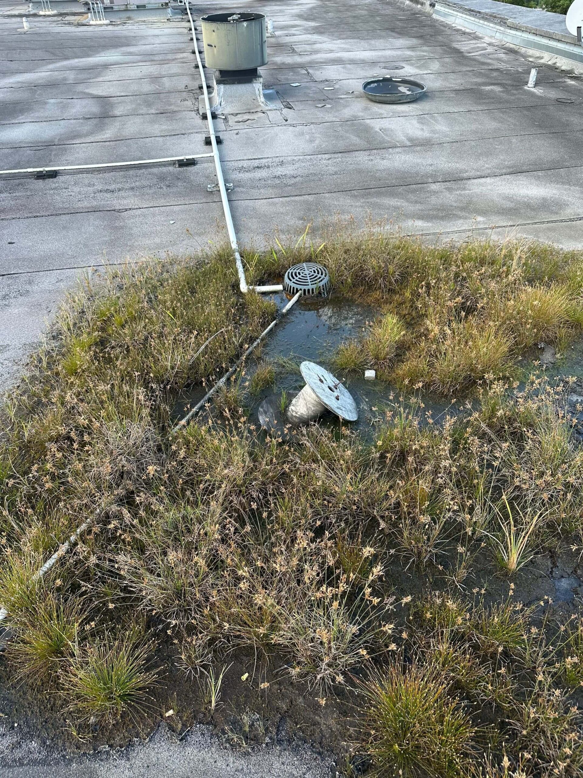 Ponding water causing hydrostatic pressure on flat roof