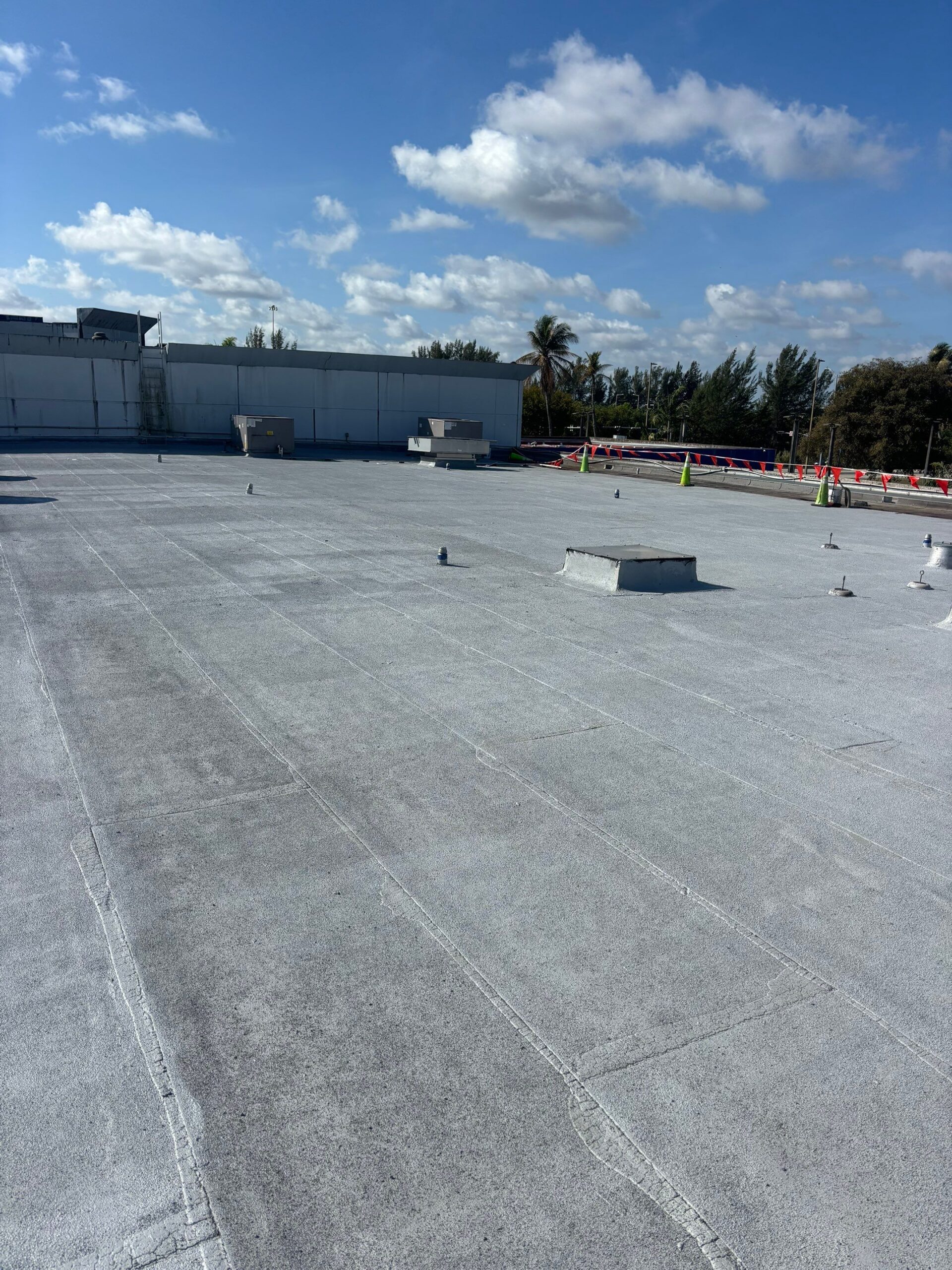 Commercial roof before coating showing deterioration